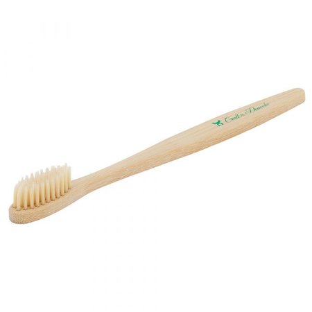 brosse a dents adulte